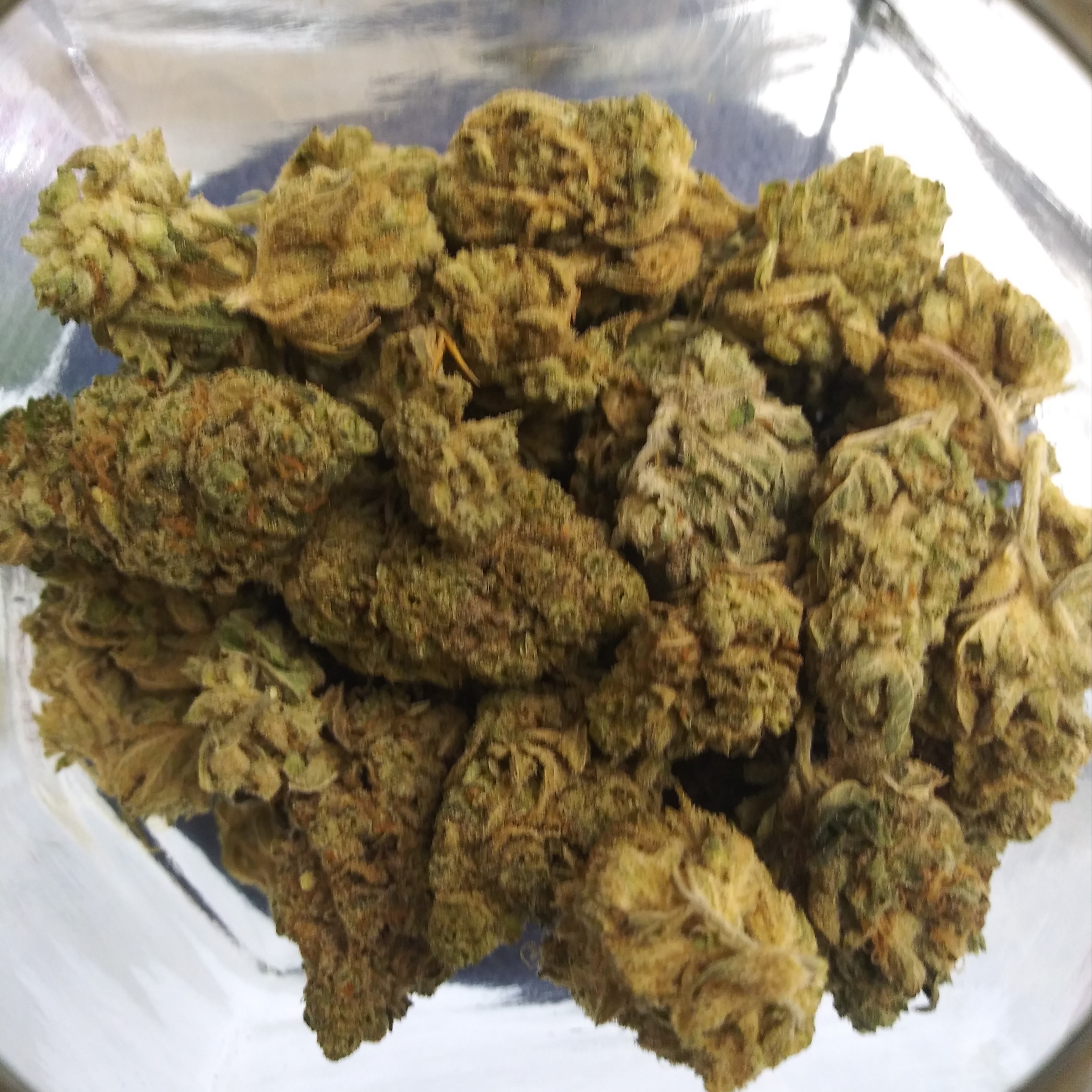 Lemon Creamsicle